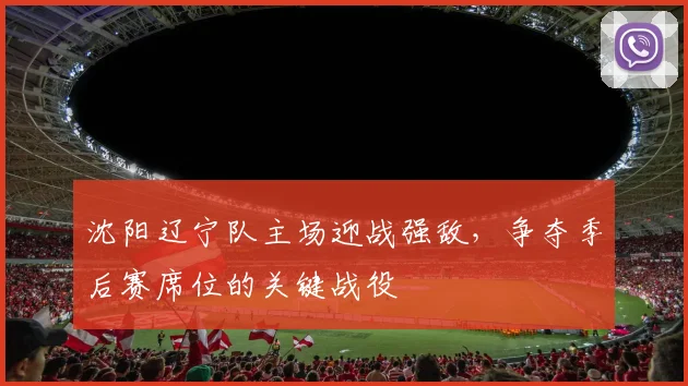 沈阳辽宁队主场迎战强敌，争夺季后赛席位的关键战役