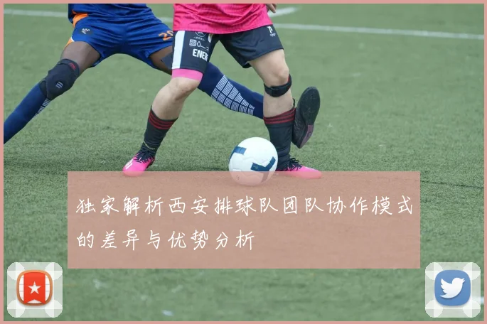 独家解析西安排球队团队协作模式的差异与优势分析
