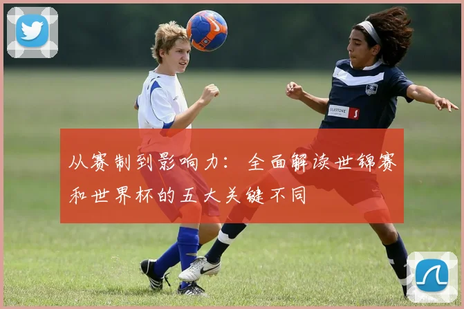 从赛制到影响力：全面解读世锦赛和世界杯的五大关键不同