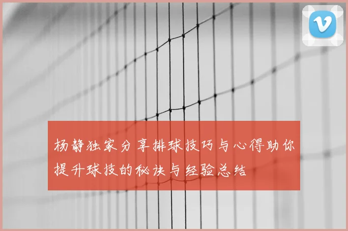 杨静独家分享排球技巧与心得助你提升球技的秘诀与经验总结