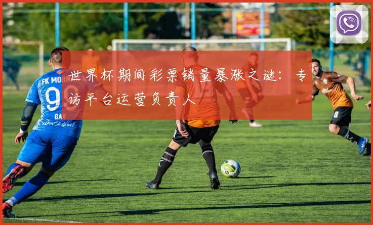世界杯期间彩票销量暴涨之谜:专访平台运营负责人