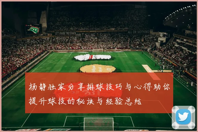 杨静独家分享排球技巧与心得助你提升球技的秘诀与经验总结