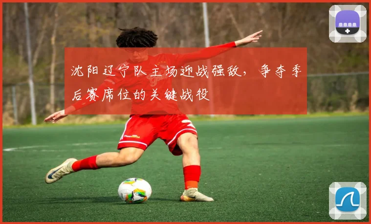 沈阳辽宁队主场迎战强敌,争夺季后赛席位的关键战役