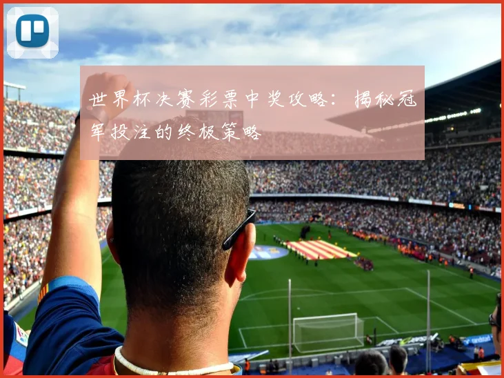 世界杯决赛彩票中奖攻略：揭秘冠军投注的终极策略