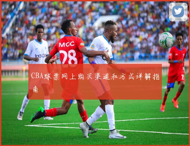CBA球票网上购买渠道和方式详解指南