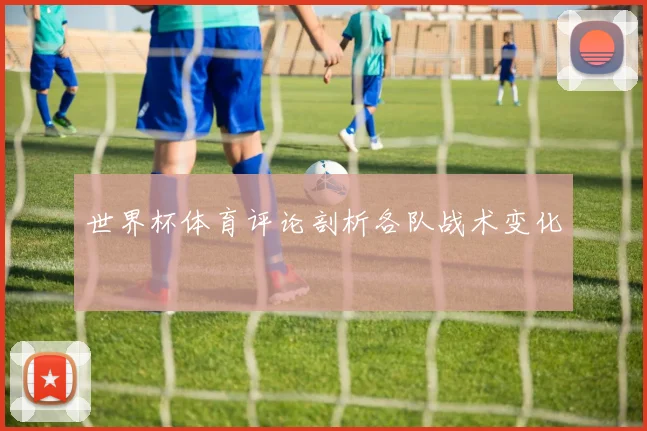 世界杯体育评论剖析各队战术变化