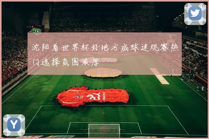 沈阳看世界杯好地方成球迷观赛热门选择氛围浓厚