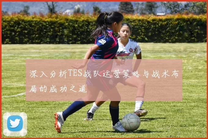 深入分析TES战队运营策略与战术布局的成功之道